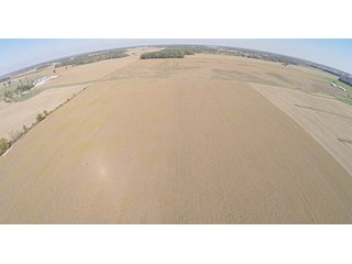 Tract 17 - LAND & REAL ESTATE AUCTION, 450+/- Acres offered in 17 Tracts of Highly Productive, Tillable Crop Land